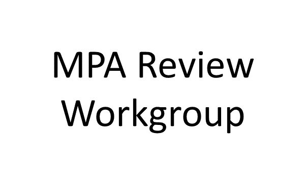 MFA_Review_WorkGroup_Logo